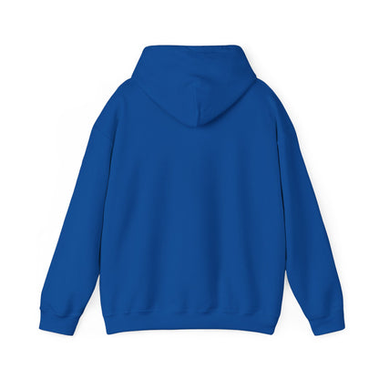 La Vaultre Blue Spray Hoodie - La Vaultre